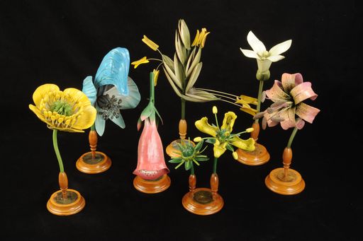 Blütenmodelle von Robert Brendel; Breslau um 1870;
Holz, Papiermaché, Draht, Ölfarbe Lack