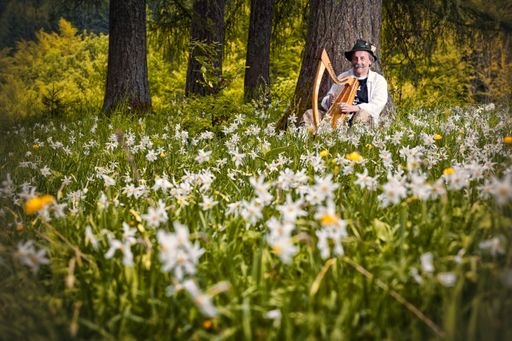 Vorschau Bild von Der bekannte Märchenerzähler Helmut Wittmann aus
dem Almtal mitten in der Narzissenwiese auf der Alm / Foto: MTV
Almtal/ Fotografin: Monika Löff