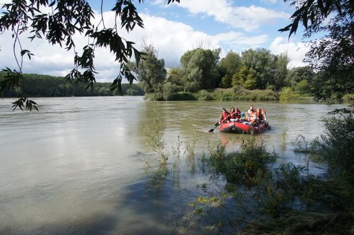 Mit dem Schlauchboot durch den Nationalpark
Donauauen: Eine Abenteuerreise der Außenstelle Petronell des NHM
Wien