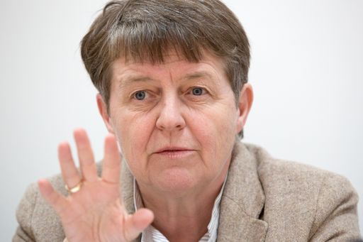 Vorschau Bild von „Die Stromversorgung wird dezentraler, vielfältiger und
flexibler“, erklärte Brigitte Ederer, Obfrau FEEI.