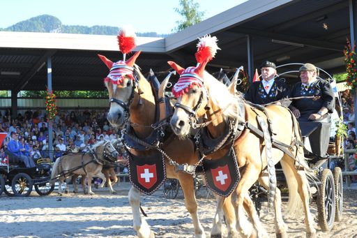  www.haflinger-tirol.com