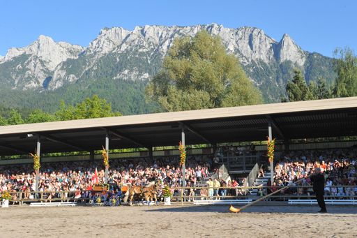 Vorschau Bild von www.haflinger-tirol.com