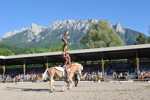  Haflinger Weltausstellung 04.06.-07.06.2015 in
Ebbs/Tirol