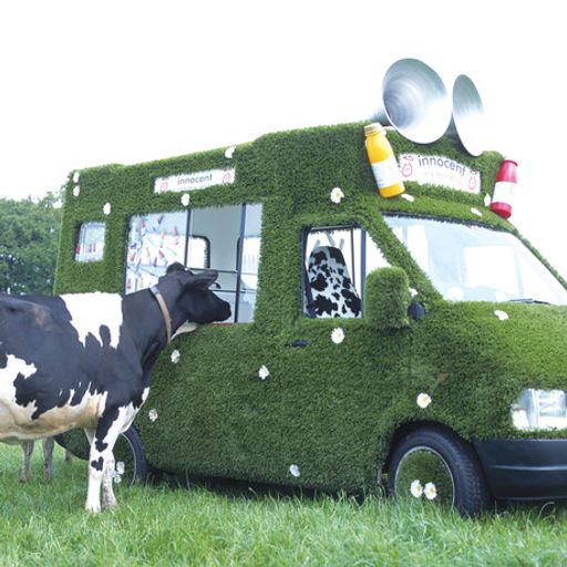 Vorschau Bild von Grassy Van von Innocent Alps GmbH