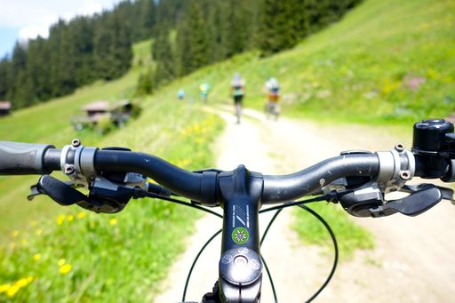 Alpenverein fordert die Öffnung von Forststraßen
für Mountainbiker