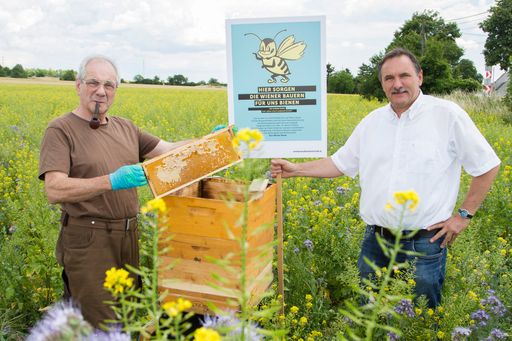 LK Wien Präsident Ök.-Rat Ing. Franz Windisch und
Imker in Oberlaa Helmut Prettenhofer