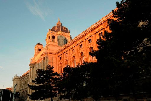 Ein Sommerabend im NHM Wien