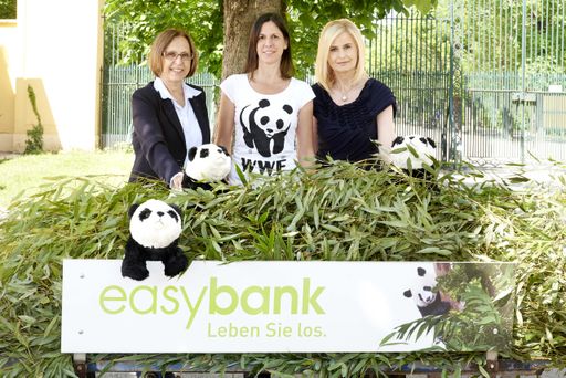  easybank, Tiergarten Schönbrunn und WWF setzen sich gemeinsam für
den Schutz des Großen Pandas ein.
