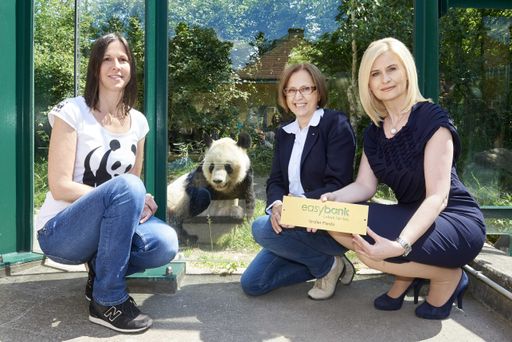 Vorschau Bild von easybank, Tiergarten Schönbrunn und WWF setzen sich gemeinsam für
den Schutz des Großen Pandas ein