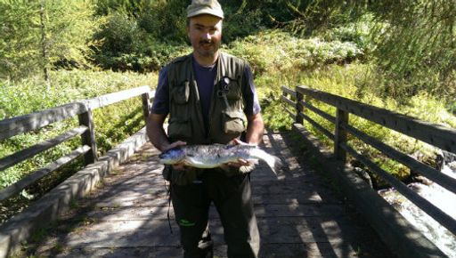 Vorschau Bild von Andy Wolf, Abenteuer Fischwasser