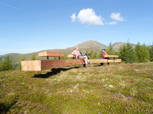 Vorschau Bild von Eine der neuen 10 Meter langen, monumentalen
„nock/art“-Bänke, die an verschiedenen markanten Punkten am Berg und
im Tal aufgestellt wurden. Im Bild: die Bank in der Nähe der
Nationalparkbahn Brunnach-Bergstation