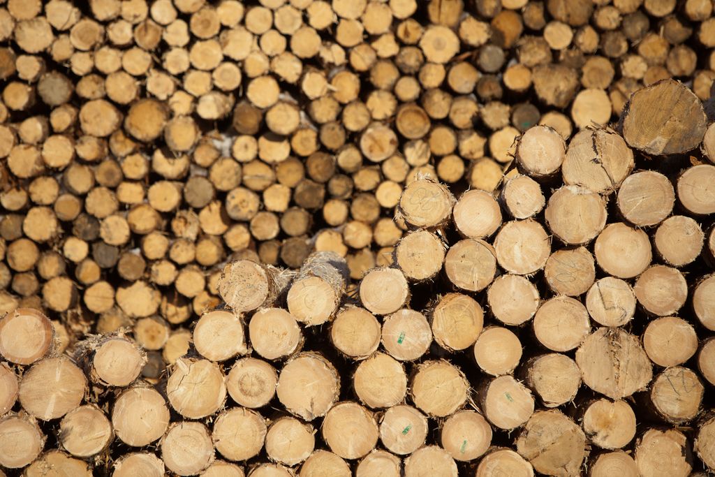 Schweighofer Gruppe kauft Sägewerk der Klausner Gruppe in Sachsen ...