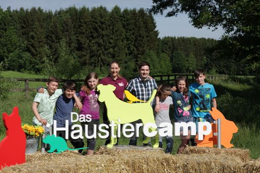 Das Haustiercamp bei der Pfotenhilfe Lochen