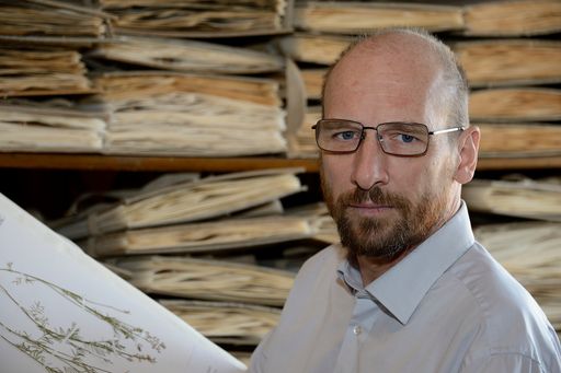 Vorschau Bild von Dr. Ernst Vitek, Abteilungsdirektor der Botanischen
Abteilung des NHM Wien