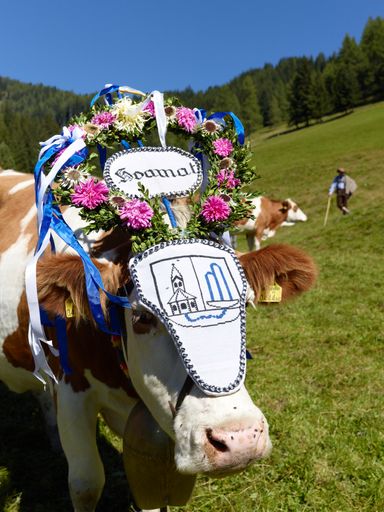  Almabtrieb in Bad Kleinkirchheim