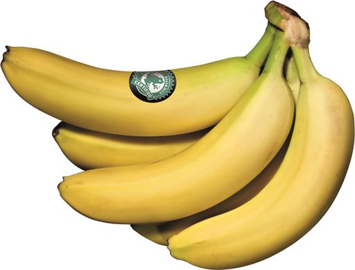 Zertifizierte Bananen
