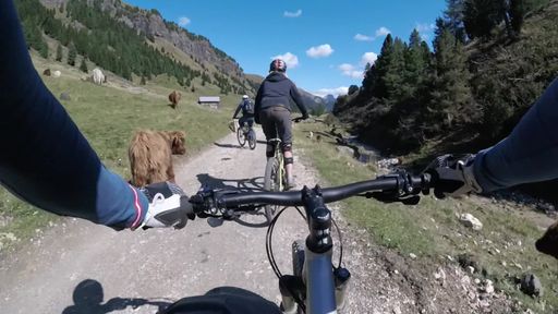 Bei der großen Tourismus-Fachtagung theALPS
2015 in Moena, Trentino (ITA), diskutierten Branchengrößen am
Dienstag, inwiefern Bike-Tourismus die alpine Sommerentwicklung
dynamisieren wird. Vor der Rekordkulisse von rund 400 Experten wurde
erstmals die brandneue Studie der EURAC Bozen in Kooperation mit der
Trentino School of Management zum Status Quo von Bike-Angeboten und
den zukünftigen Anforderungen an die Regionen im Alpenraum
vorgestellt. Im Rahmen des Events wurde auch Josef Margreiter, GF
der Tirol Werbung, als Präsident von AlpNet einstimmig wiedergewählt
sowie Damian Constantin, CEO Valais/Wallis Promotion, und Maurizio
Rossini, Direktor Trentino Marketing, zu seinen neuen
Stellvertretern ernannt. Im kommenden Jahr kehrt theALPS als
führendes Netzwerktreffen des Alpentourismus nach Tirol zurück und
wird sich im Oktober 2016 mit den Zukunftsperspektiven der
Winterferien in den Alpen befassen.