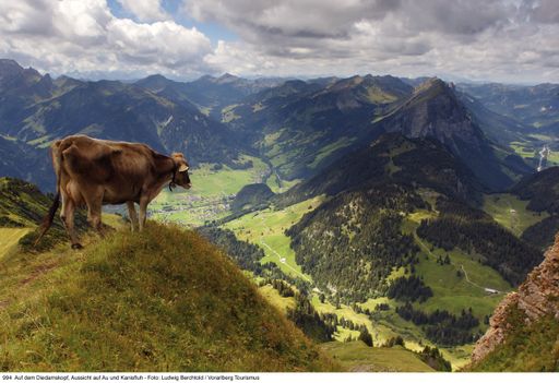 Führende Experten und Fachleute aus der
Tourismusbranche werden im Bregenzerwald über die neuesten
Erkenntnisse aus der Tourismusforschung diskutieren.
