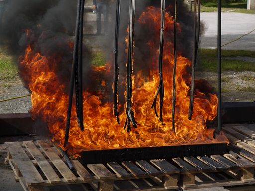 Vorschau Bild von Mit brandheißen Versuchen wurde anschaulicher Brandschutz
verwirklicht