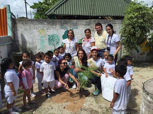 Vorschau Bild von Jamie Herrell in Mexiko bei "Plant a tree for peace"