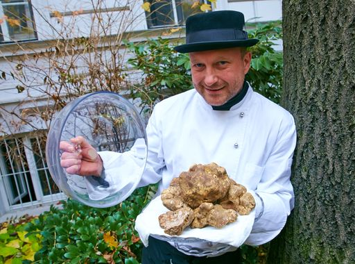 Vorschau Bild von Thomas Edlinger