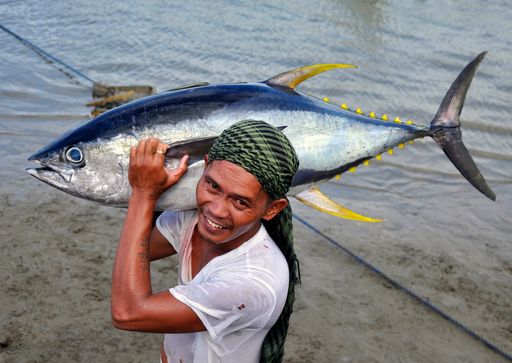  Fischer mit Thunfisch in Mambura, Philippinen