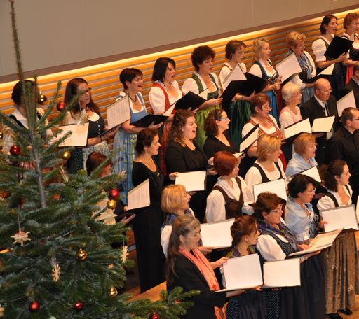 Der Chor der Chorszene Niederösterreich verzaubert
mit traditionellen Weihnachtsliedern