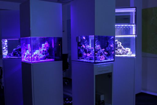 Vorschau Bild von das neue Produkt "Nano Line" - ein handliches, wartungsarmes und
preiswertes Korallenriffaquarium