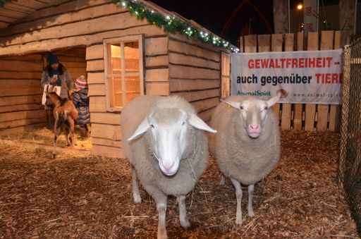  Lebende Weihnachtskrippe vor dem Q19, Wien-Döbling