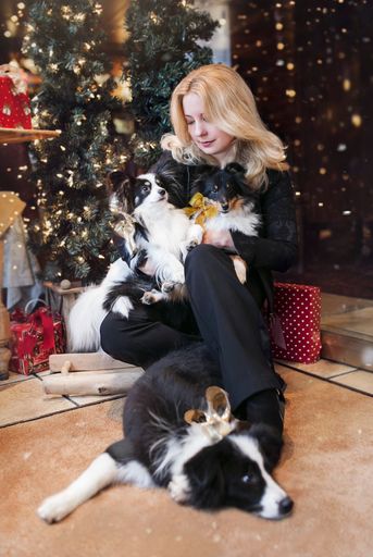 Iva Schell stimmen Tiere unterm Christbaum traurig