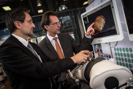  Mittels Bildgebung werden spezielle Sonden in den Tumor
eingebracht um diesen mit Hitze, Kälte oder Elektrizität gezielt zu
zerstören.