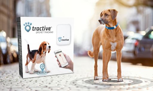 Vorschau Bild von Entlaufene Tiere einfach mit dem Smartphone orten - Tractive GPS
macht's möglich