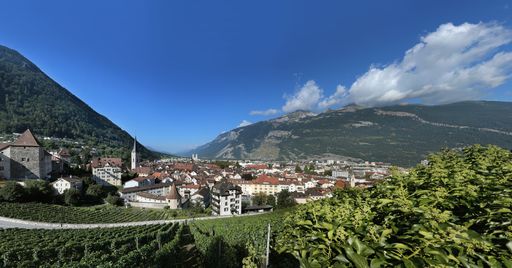 Sommerpanorama Chur