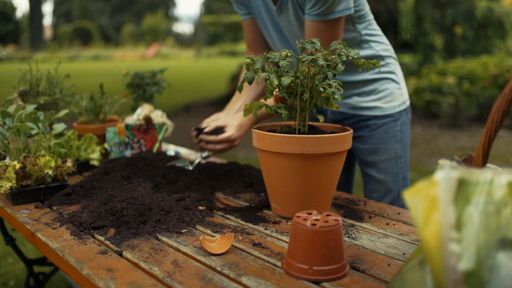 Vorschau Bild von Bodenständiges und fundiertes Gärtner-Wissen sowie leicht
umsetzbare Praxistipps