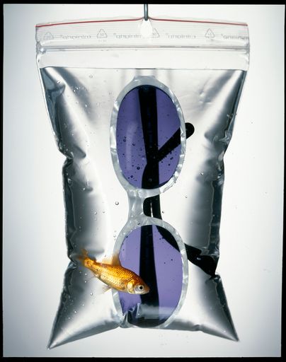 Vorschau Bild von Robert La Roche, Werbekampagne Damenkollektion,
fotografiert von Thomas Popinger, um 1997 © Robert La Roche