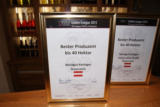 Vorschau Bild von Golden League Sieger Urkunden