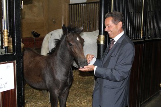 Vorschau Bild von Prof. Heinz Schinner mit einem Fohlen