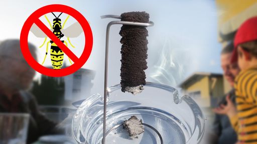 Vorschau Bild von Wespenfreund Imagebild und Logo