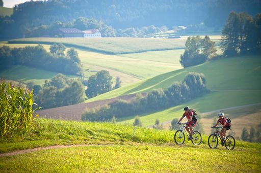 Vorschau Bild von 25 Jahre Pferdereich Mühlviertler Alm