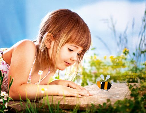 Hofer schwärmt für Bienen