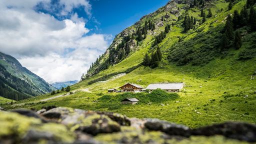 Vorschau Bild von Alpe Garnera Montafon
