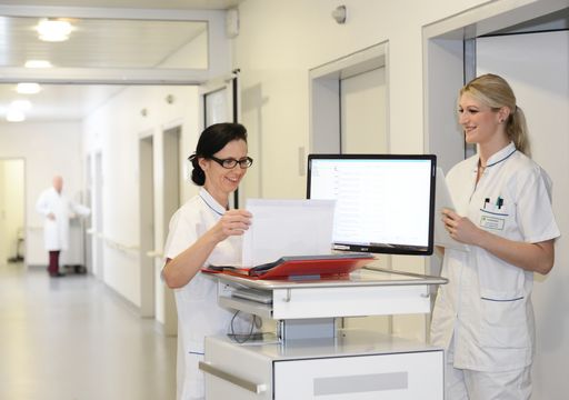 Vorschau Bild von Software-Entwicklung basierend auf „Aus der Praxis
für die Praxis“