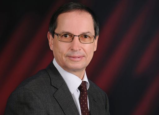  IT- und Business-Profi DI Franz Gober,
consultingeam.at - Teil der ARGE WebBSC