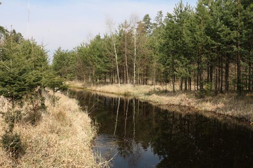 Vorschau Bild von Im Bereich dieses mehrere Hektar großen
Feuchtgebietes bei Klein-Meiseldorf (Bezirk Horn), Brutgebiet des
Schwarzstorches und Lebensraum zahlreicher seltener Vogel-,
Amphibien- und Fledermausarten, planen die WEB und die EVN die
Errichtung eines Windparks. Im Hintergrund ist der Messmast der
Windkraftfirmen erkennbar.