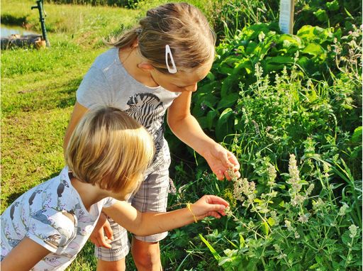  Kräutergarten im Topf - Kinder sammeln Kräuter