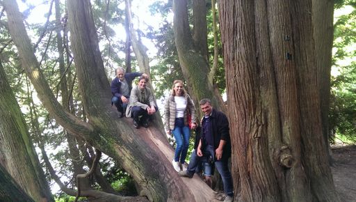 Vorschau Bild von Stourhead Gardens