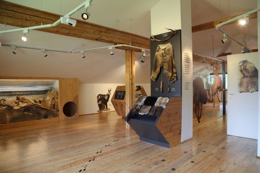 Vorschau Bild von Neue Erlebnisausstellung zum 35-Jahr-Jubiläum: „Wilde Nockberge“
an der Nockalmstraße - Im Bild die Ausstellung in der Pfandlhütte