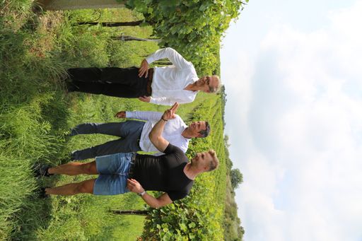 Vorschau Bild von Präzisionsweinbau: Begehung, Weingut Leo Hillinger
