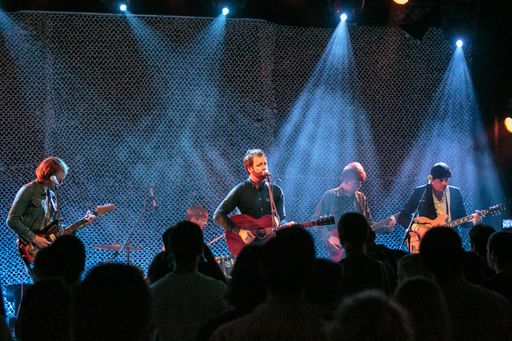Die britische Folk-Punk-Band Young Rebel Set am
Waves Vienna 2015