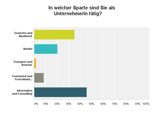 Vorschau Bild von Verteilung der TeilnehmerInnen auf die einzelnen
Sparten